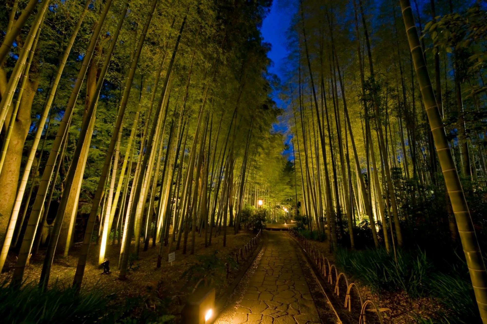 Marukyu Ryokan Izu  Esterno foto